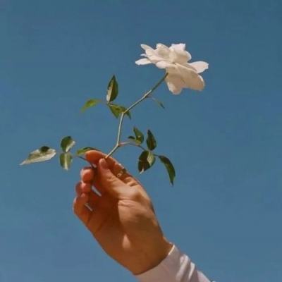 暴走大作战io游戏下载