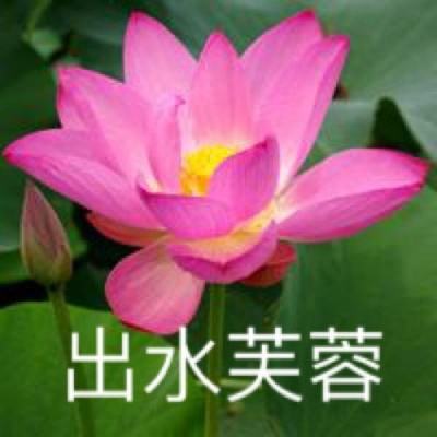 神武q传手机版